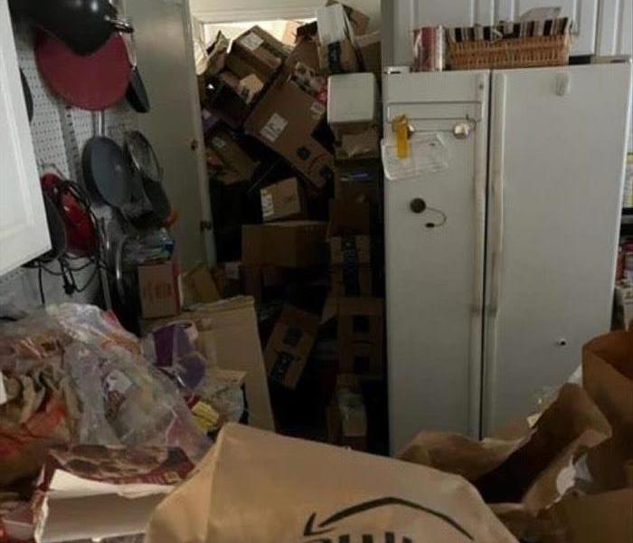 kitchen before cleanup - hoarder situation