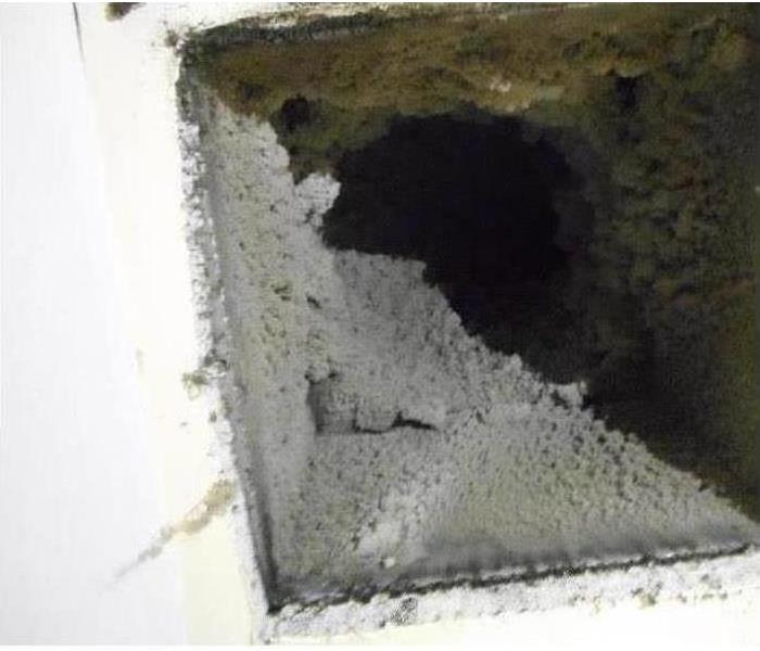 Mold hidden in HVAC system
