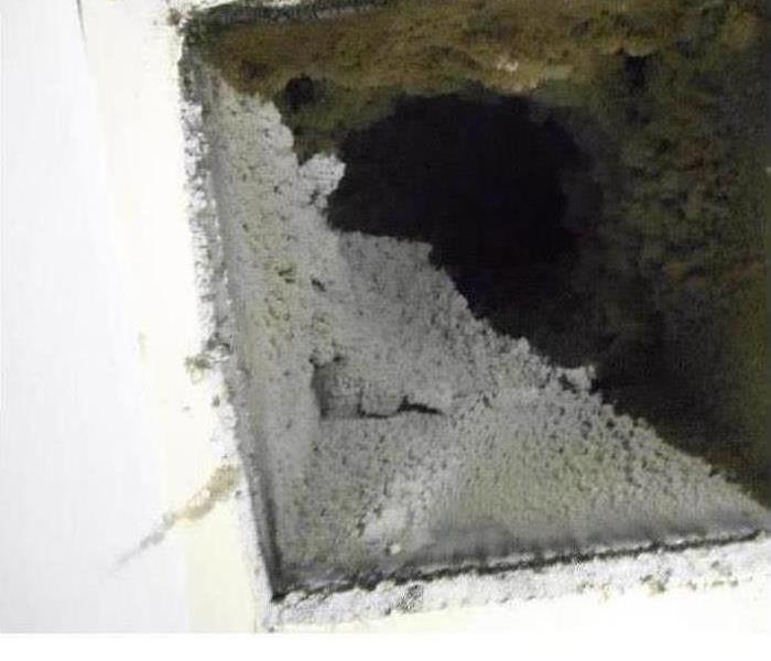 Mold In HVAC System