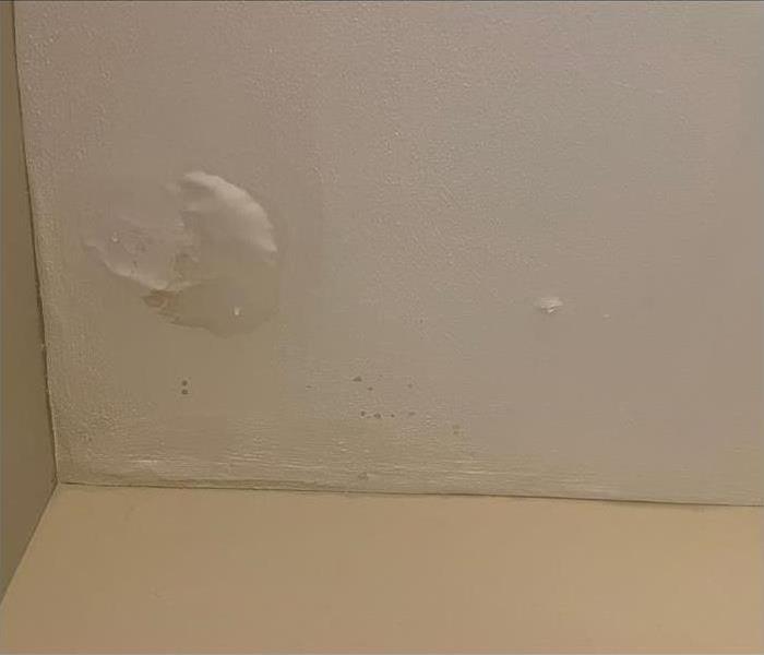 Water damage on walls- Drying out  